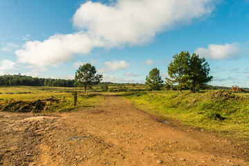 Fototapeta premium A view of the Parque Natural Municipal da Ronda (Ronda Municipal Natural Park) in Sao Francisco de Paula, South of Brazil