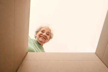 Fototapeta premium Senior woman with open parcel, view from inside