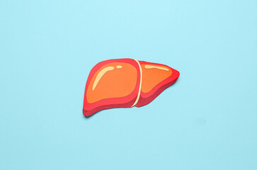 Orange paper liver on blue background