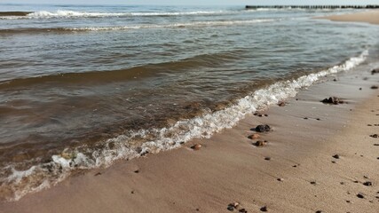 Plaża. 