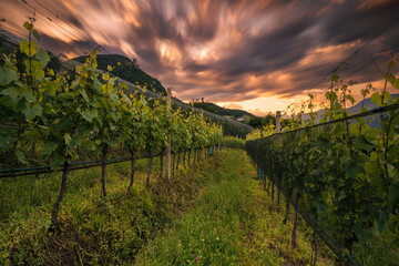 Eppan/Appiano landscape near Bolzano in South Tyrol