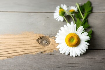 Obraz premium white wood table with herbal flower. Generative AI