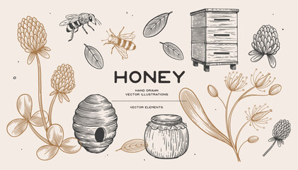Hand drawn large set on beekeeping. Beehive, jar with honey, bees, clover flowers and linden trees vector illustration on light isolated background. Organic food. Healthy eating and vegetarianism. - obrazy, fototapety, plakaty