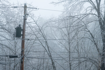 Ice covered power lines and pole during extreme ice storm