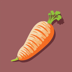 Vector illustration of fresh juicy carrot