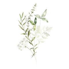 Wild herbs field flowers plants. Watercolor bouquet - illustration with green leaves, branches and colorful buds. Wedding stationery, wallpapers, fashion, backgrounds, prints, pattern. Wildflowers.