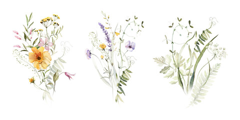 Wild field herbs flowers plants. Watercolor bouquet collection - illustration with green leaves, branches and colorful buds. Wedding stationery, wallpapers, fashion, backgrounds, prints. Wildflowers.