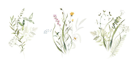 Wild field herbs flowers plants. Watercolor bouquet collection - illustration with green leaves, branches and colorful buds. Wedding stationery, wallpapers, fashion, backgrounds, prints. Wildflowers.