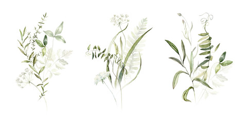 Wild field herbs flowers plants. Watercolor bouquet collection - illustration with green leaves, branches and colorful buds. Wedding stationery, wallpapers, fashion, backgrounds, prints. Wildflowers. - 608423887