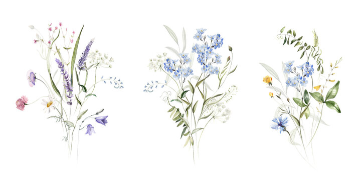 Wild field herbs flowers plants. Watercolor bouquet collection - illustration with green leaves, branches and colorful buds. Wedding stationery, wallpapers, fashion, backgrounds, prints. Wildflowers.