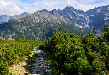Fototapeta na wymiar Mountain landscape in summer with a view of the panorama of the peaks of the High Tatras..