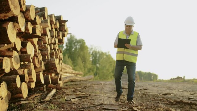 Male logger in white helmet and overalls counts sawn logs. Cut logs. Logger engineer. Slow motion