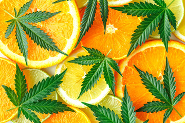 Cannabis bud and leaves with sliced lemon and orange.Green cbd cannabis leaves on a orange fruit.Bunch of orange fruit slices and marijuana leaf.Top view