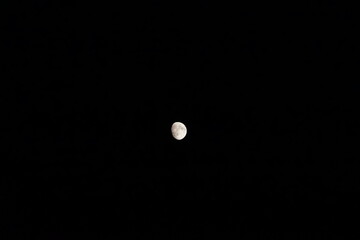 Moon
