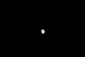 mond