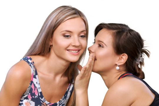 Portrait of Two Girlfriends , Sisters Gossiping