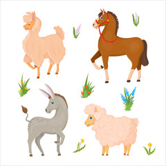 Obraz na płótnie Canvas Donkey, Horse, Llama or Alpaca, Sheep. Set of animals. Farm animals. Cattle breeding Vector illustration isolated on white background.