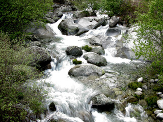 LA FRANCISCA EL HORNILLO RIO DE GREDOS