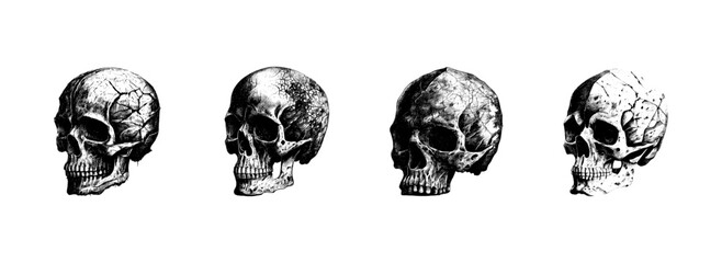 Engraved drawing of a human skull. The human skull is drawn in pencil on an isolated background. Medicine. Investigation. Black and white style. Ideal for postcard, book, poster, banner. Vector set