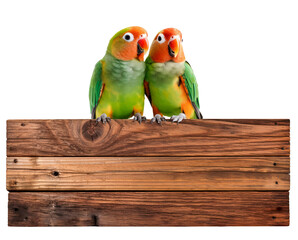 two cute lovebirds sitting on a blank wooden sign isolated over a transparent background, cut-out tropical jungle / amazon or pet themed design element, generative AI
