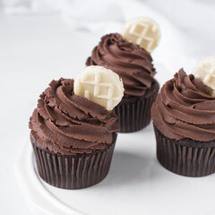 Chocolate cupcake with dark chocolate buttercream, double chocolate cupcakes with american buttercream, tall swirl frosting on a cupcake with a wafer