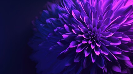 blue flower on black background purple wallpaper background