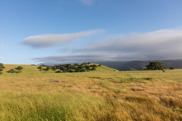 Santa Ynez Valley, wine country, California, landscape with grassy hills and blue sky