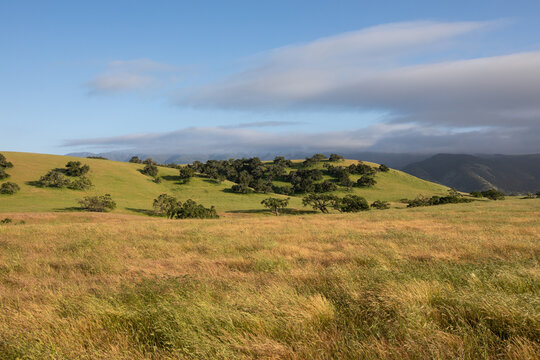 Santa Ynez Valley, wine country, California, landscape with grassy hills and blue sky