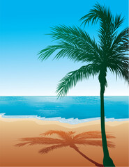 Vector Illustration of Beach Background 9.