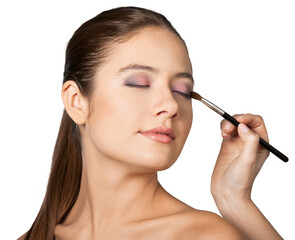 Fototapeta premium Professional makeup artist doing makeup for girl