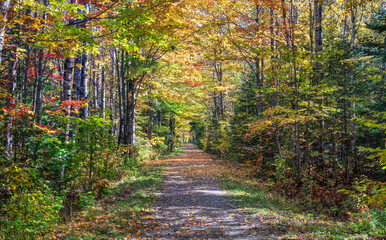 Autumn in the Carrabassett Valley - Maine - Narrow Gauge Pathway