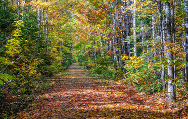 Autumn in the Carrabassett Valley - Maine - Narrow Gauge Pathway
