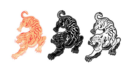 Hand drawn tiger illustrations with silhouette and inverted version vector design elements