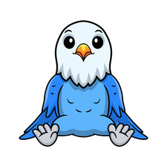 Cute blue love bird cartoon sitting