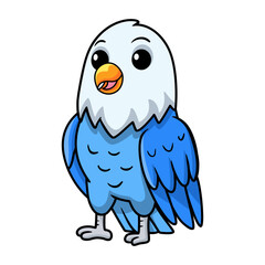 Cute blue love bird cartoon