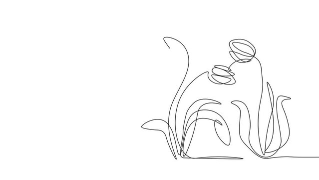 Animation in continuous line style. Aesthetic moving banner with hand drawn blooming flowers or plants. Single line sketch. Floristry and botany. Linear graphic animated cartoon on white background