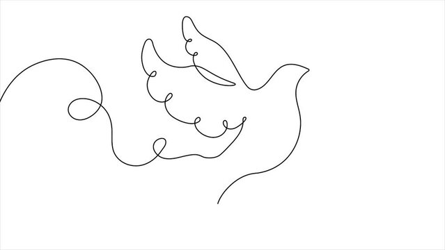 Animation in continuous line style. Aesthetic moving icon with dove as symbol of freedom, peace and goodness. Banner with dove or wild bird. Linear graphic animated cartoon on white background