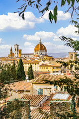 Fototapeta na wymiar High angle view of Florence at (Firenze), Italy