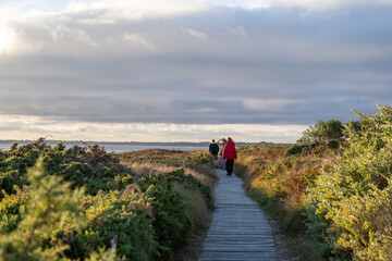 Obraz premium Coastal path