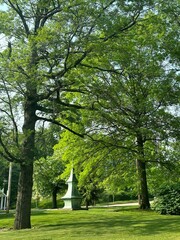 trees in the park with white little tower