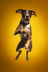 Illustration of a dog jumping up in the air with a yellow background created with Generative AI technology