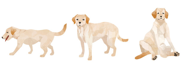 ラブラドール・レトリバーのセット素材、歩く犬、座る犬