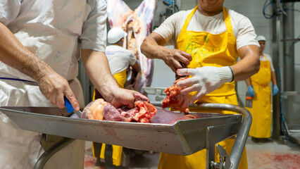 Animal health inspectors checking the viscera of a slaughter beef