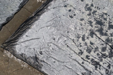 raw salt farm plot with water and polythene bed