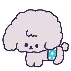 マナーベルトを付けたかわいいトイプードルのオスの子犬のイラスト