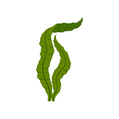 Underwater green algae seaweed, aquarium sea plant. Vector tank aquatic seaweed, cartoon ocean floor decoration grown at sea bottom