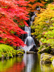 紅葉と滝