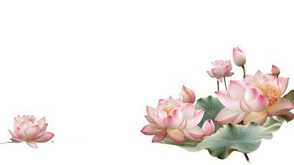 elegant lotus flowers as a frame border, isolated with negative space for layouts
