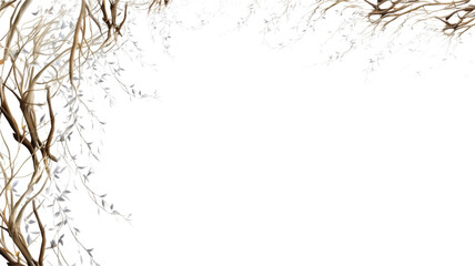 flowing willow branches as a frame border, isolated with negative space for layouts