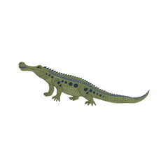Sarcosuchus extinct genus of crocodile, green swimming dinosaur ancient dino cartoon character. Vector crocodile large basal archosaur reptile